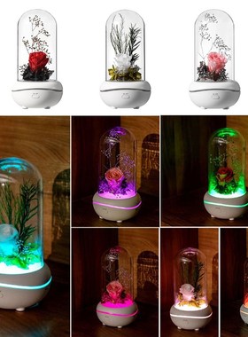 Creative Preserved Flower Fragrance Lamp Aroma Diffuser Port