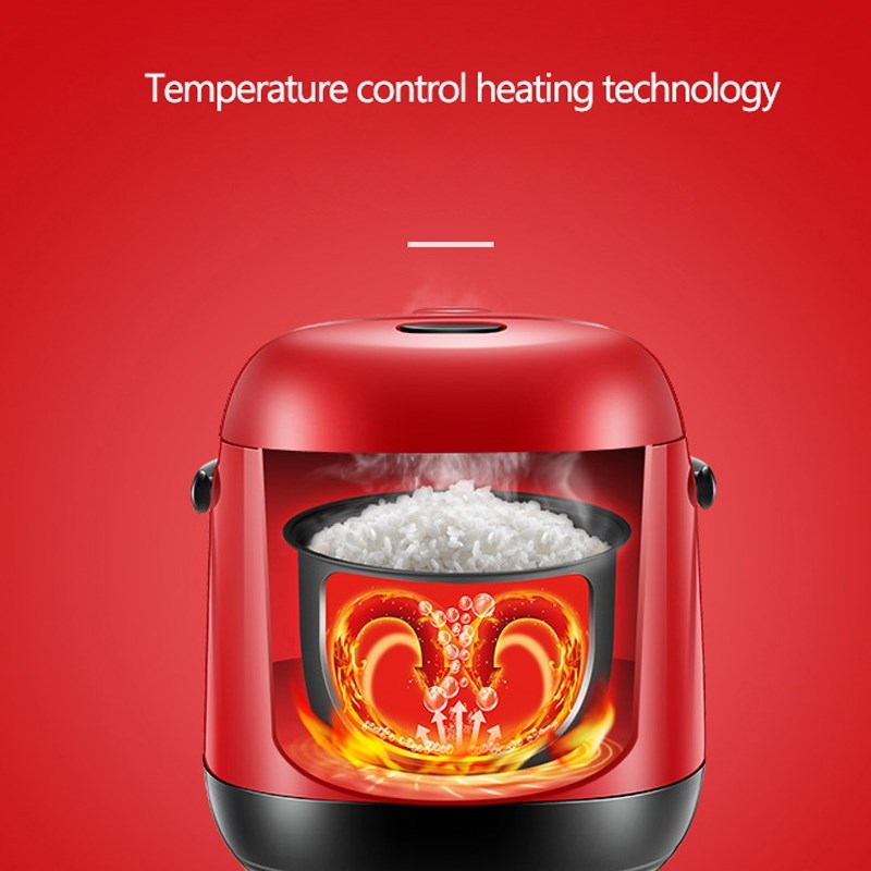 1.2L Mini Electric Rice Cooker Lunch Box Multifunction Cooki