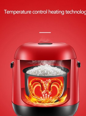 1.2L Mini Electric Rice Cooker Lunch Box Multifunction Cooki