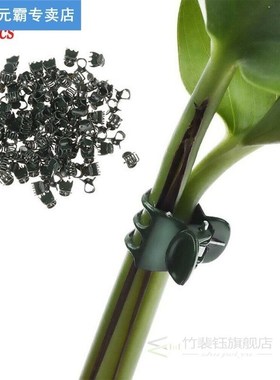 100Pcs Plant Fix Clips Orchid Stem Vine Support Flowers Tied