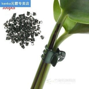 100Pcs Plant Fix Clips Orchid Stem Vine Support Flowers Tied