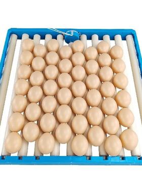 Automatic Egg Turner Tray Egg Trays For Incubation Poultry