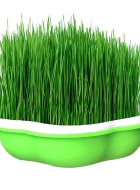 Plant Germination Tray Sprout Dish Portable Moisture Proof