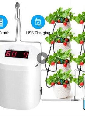 2/4/8 Head Automatic Watering Pump Controller Drip
