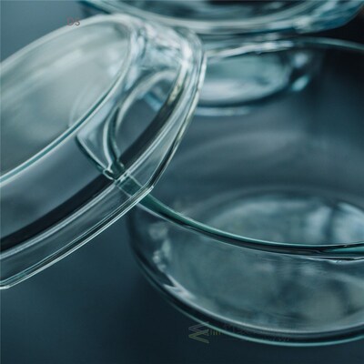 Toughened Glass Bowl Transparent Nordic Bowls Eco-friendly P