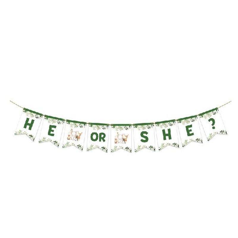 Paper Flags Green White Baby Shower Banners Boy or Girl