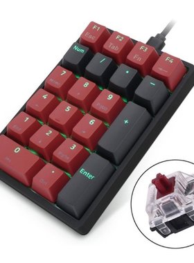 SK21 Portable USB-C Wired Numeric Keypad RGB Digital Mechani