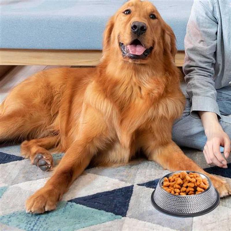 Stainless Steel Pet Feeding Bowl Pet Cage Hanging Feeder Dog