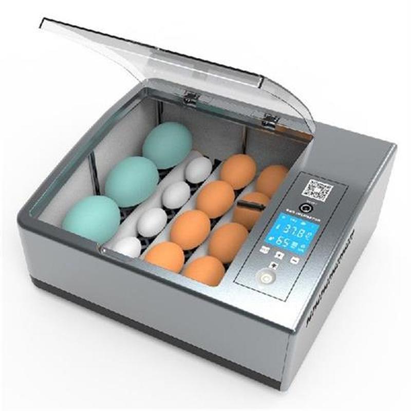 110V 220V 16 Eggs Fully Automatic Incubator Brooder Chicken