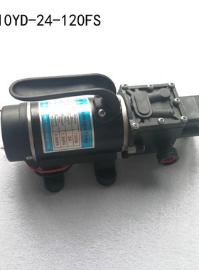 120W High-Power DC 12V 24V Car Wash Agricultural Self Primin