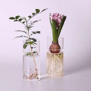 Transparent Hyacinth Terrarium Glass Vase Flower Planter Pot