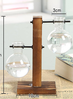 Hydroponic Plant Vases Vintage Flower Pot Transparent Vase W