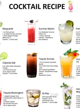 Bartender Kit1-30-piece Cocktail Shaker Set with Stainless