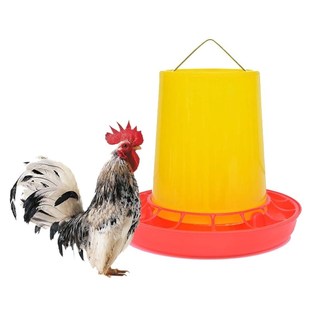 Chicken Poultry V-shaped Entrance Feed Bucket Outdoor Practi
