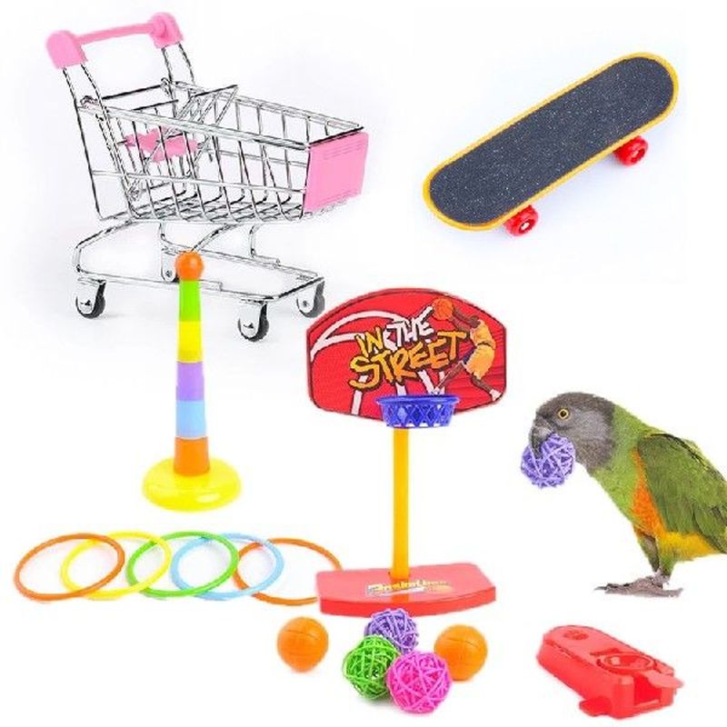 Funny Bird Parrot Toys Set Activity Pet Basketball