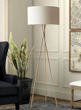 Nordic Modern Floor Lamp Led Iron Tripod Floor Lamps For Liv