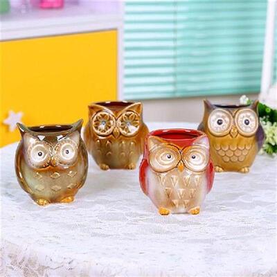 Owl Ceramic Flower Pots for Fleshy Succulent Plant Animal