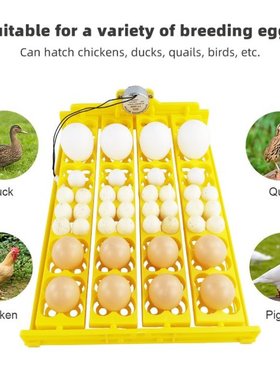 104 Quail Eggs Incubator Turner Automatical Turn Eggs Tray P