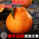 包邮 四川正宗不知火丑橘水果新鲜应当季 整箱桔子柑橘耙耙顺丰 八怪