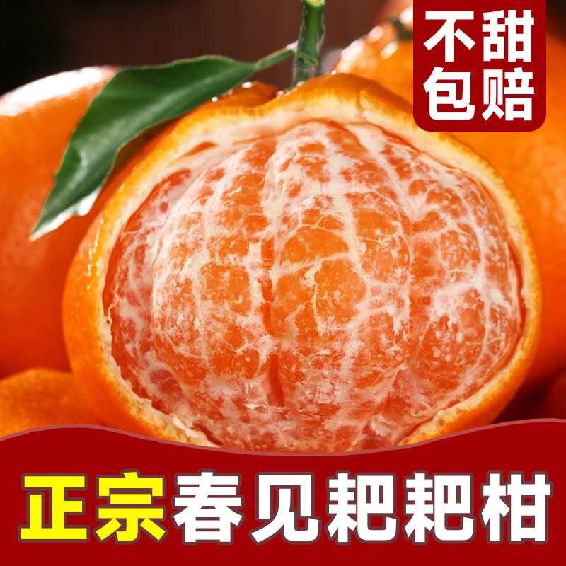 【顺丰包邮】四川春见耙耙柑!