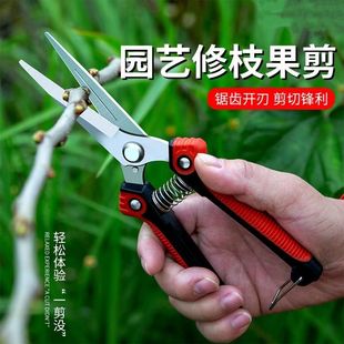 强力采果剪刀园艺省力修枝剪不锈钢带锯齿园林剪树剪子果树剪蔬果