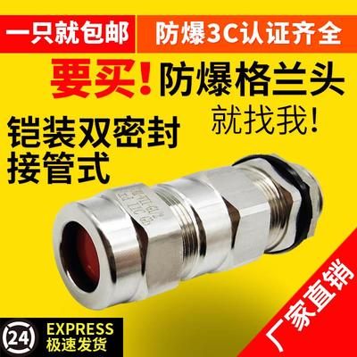 防爆铠装双密封不锈钢格兰头电缆夹紧接头NPT填料函外螺纹金属M20