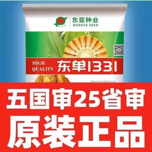 【正品保证】东单1331玉米种子苞谷4200粒抗倒伏高温双棒多抗旱涝