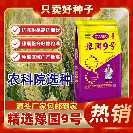 国审原装正品山农1695高产矮杆抗倒稳产分蘖强新种优质小麦种子