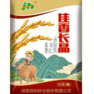 原装正品早熟常规水稻种子佳香长晶长粒香早稻高产种子翻秋晚稻新