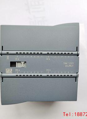 【非标价】sm1223 dc/rly
