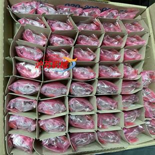 HFA2 SKM36 和 S01 HFA0