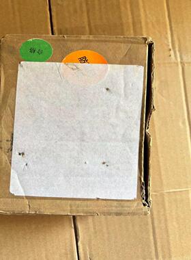 全新原装，SEW编码器 XH11  HOG74D1C/D2C