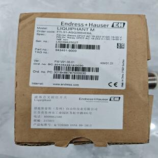 EndressHauser 音叉Order code：FT