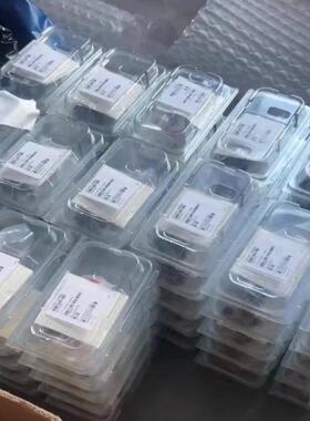 MKS薄膜硅 622 626 6个月