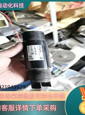 现货雷泰Raytek Thermalert GP红外温度传感器