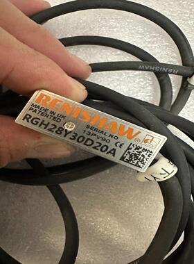 雷尼绍RGH28Y30D20A 光栅尺读数头