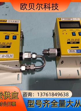 FLOLINE SEF-51气体计 10SLM
