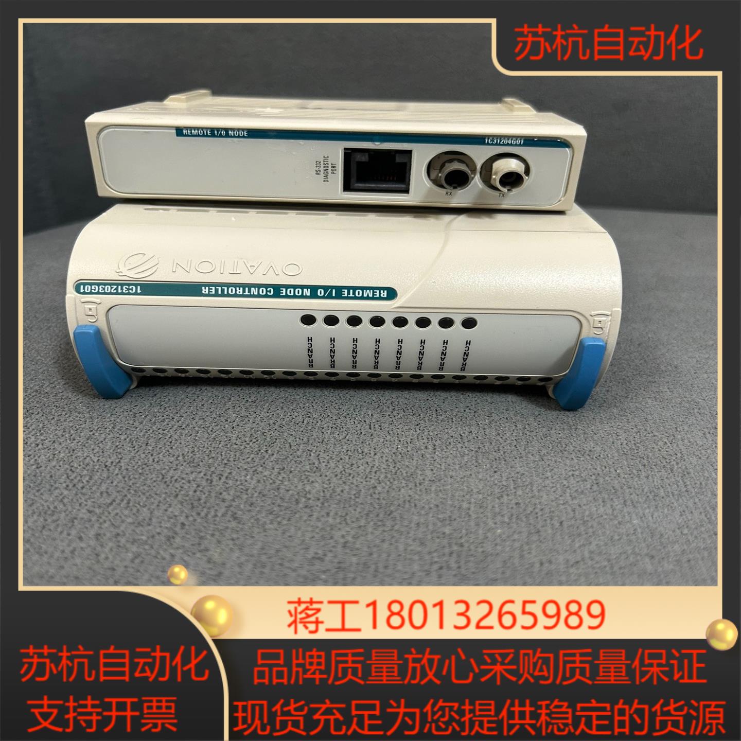 1c31203g01/1c31204g01 爱默生 Ovat