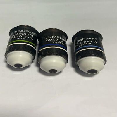 奥林巴斯物镜LUPlanFL 60x/0.90 W