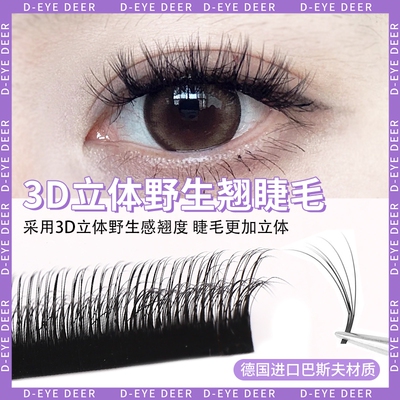 3D立体野生感漫画款睫毛多层次山茶花LBLCLD5D蓬松仿真凌乱自嫁接