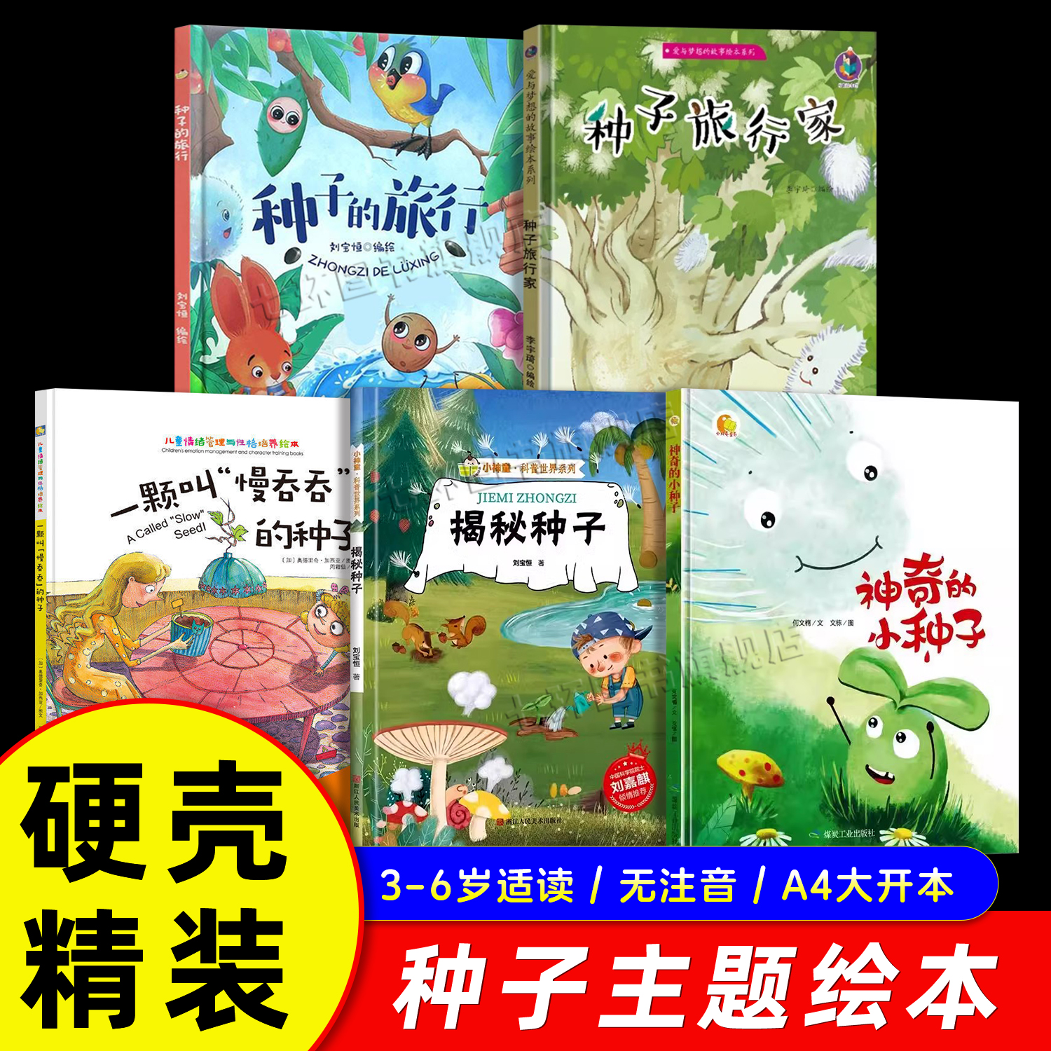 关于种子的绘本5册硬壳精装