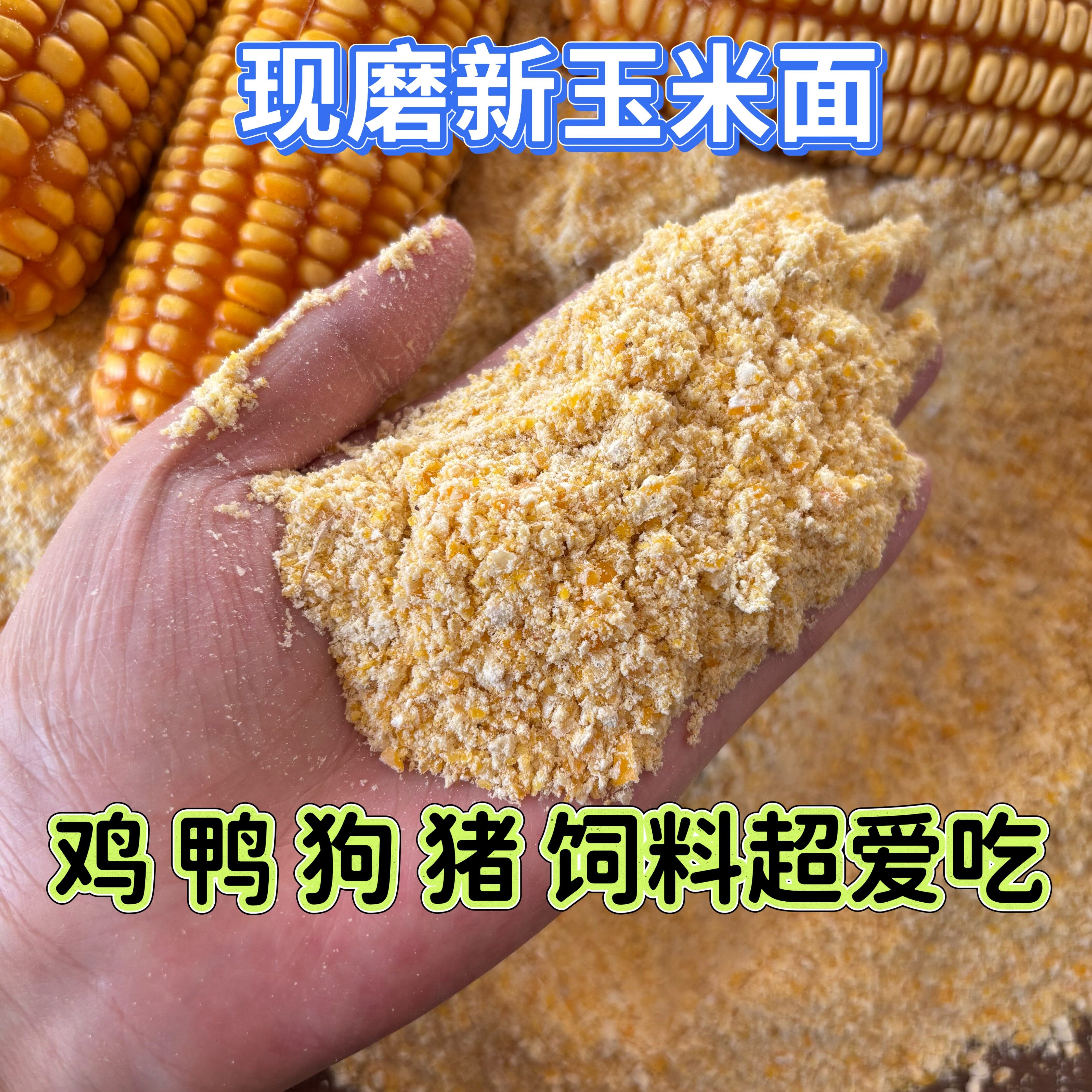 新鲜玉米粉苞米饲料100斤批发装