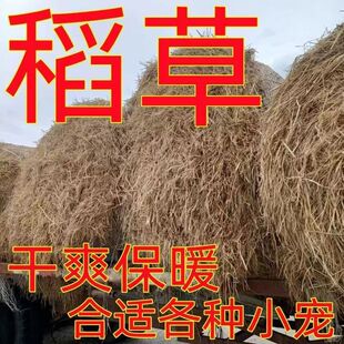稻草干草宠物保暖鸡狗猫鸟动物冬季鹦鹉窝垫批发天然保温产箱防寒