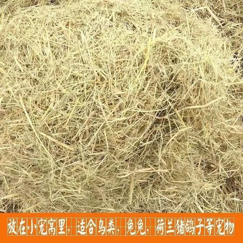 干稻草干草垫料东北产地天然保暖