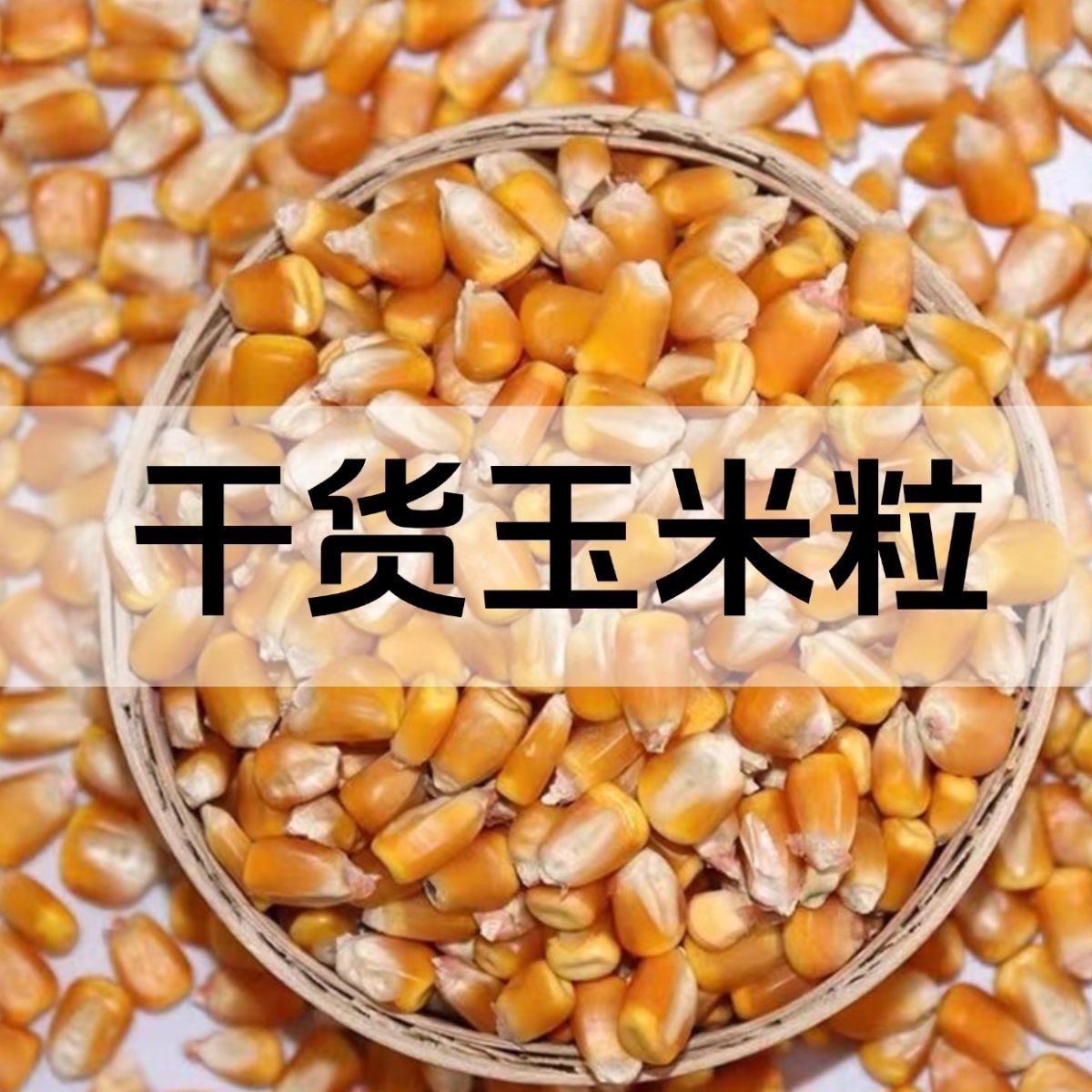 玉米粒东北原产地养殖户专用饲料