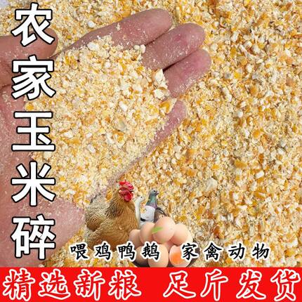 玉米碎无粉碎颗粒喂鸡鸭喂鸽子家禽钓鱼打窝新鲜养殖饲料原料批发