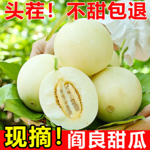 时令整箱孕妇水果脆甜小籽香瓜蜜瓜 头茬陕西阎良甜瓜10斤新鲜当季