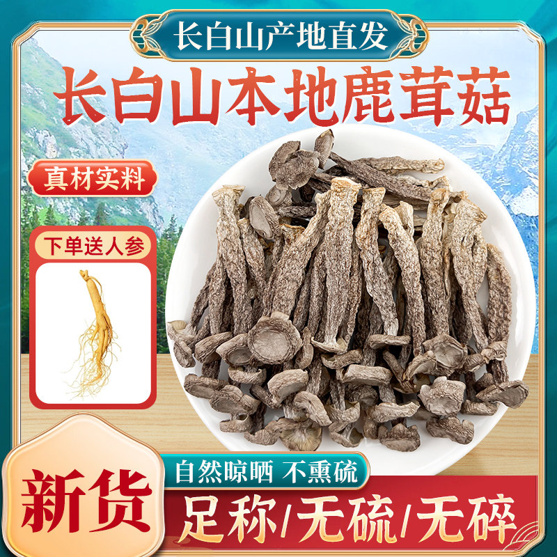 现货云南鹿茸菇干货长白山鹿茸菇干货500g非云南野生特产级脆脆菌