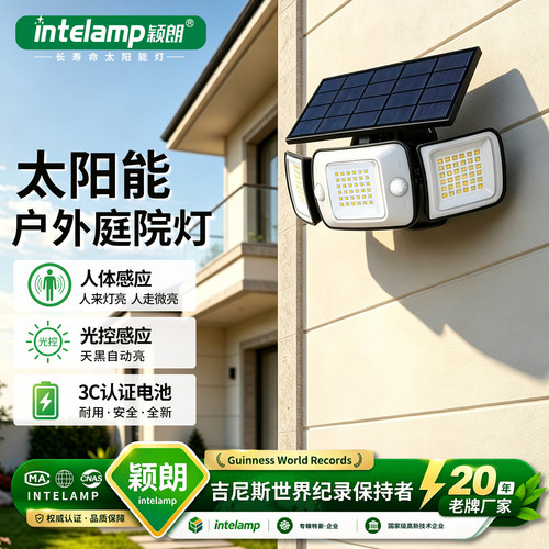 太阳能夜间人体自动感应灯