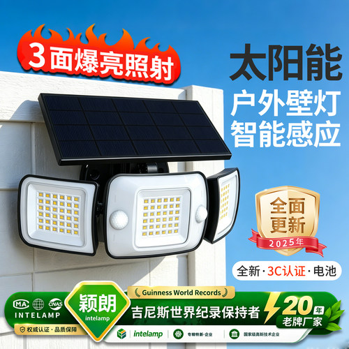 太阳能分体式人体感应灯